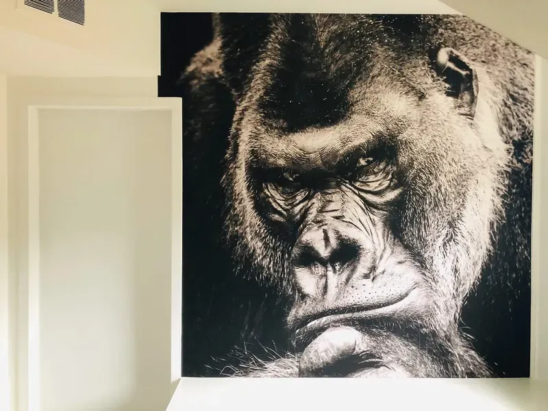 Fotobehang met een gorilla in zwart-wit in een dressing